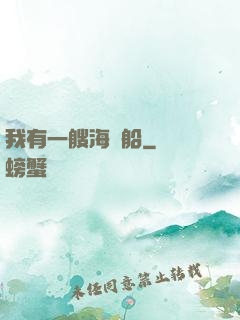 我有一艘海盜船