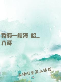 我有一艘海盜船