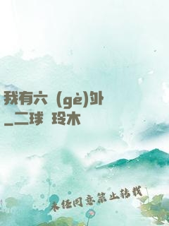 我有六個(gè)外掛