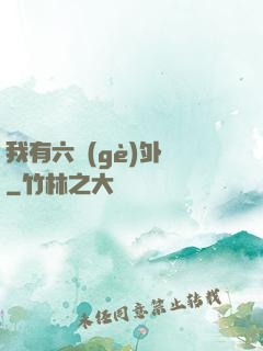 我有六個(gè)外掛