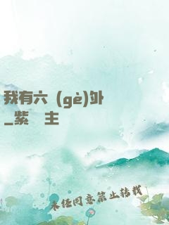 我有六個(gè)外掛