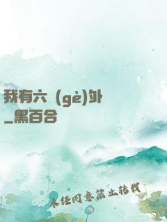 我有六個(gè)外掛