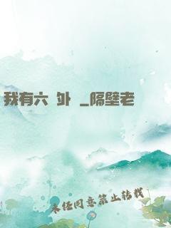我有六個外掛