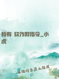我有騎砍作弊指令