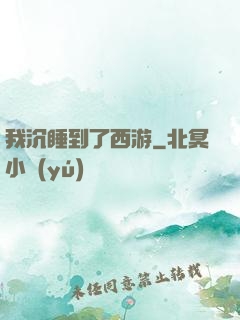我沉睡到了西游