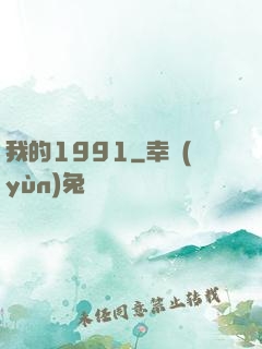 我的1991