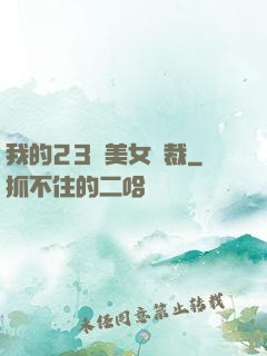 我的23歲美女總裁