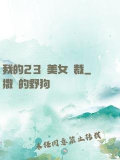 我的23歲美女總裁