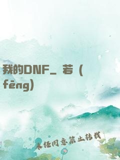 我的DNF
