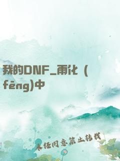我的DNF