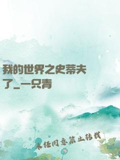 我的世界之史蒂夫無敵了