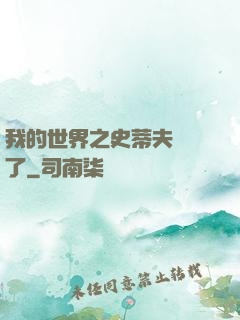 我的世界之史蒂夫無敵了