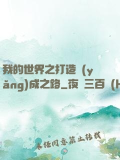 我的世界之打造養(yǎng)成之路