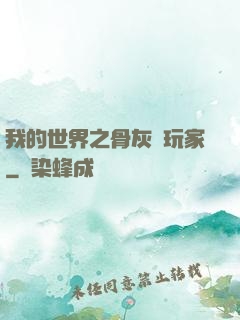 我的世界之骨灰級玩家