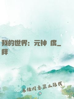 我的世界：元神國度