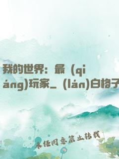 我的世界：最強(qiáng)玩家