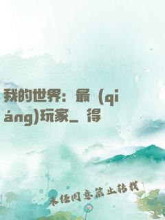 我的世界：最強(qiáng)玩家