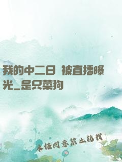 我的中二日記被直播曝光