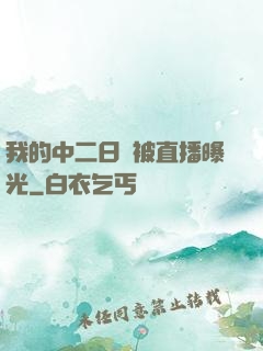 我的中二日記被直播曝光