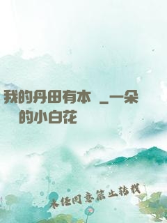 我的丹田有本書
