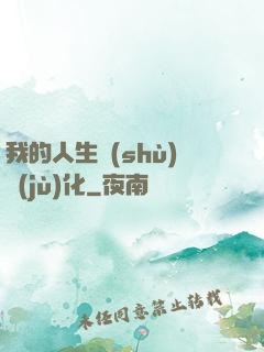 我的人生數(shù)據(jù)化