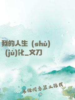 我的人生數(shù)據(jù)化