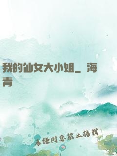 我的仙女大小姐