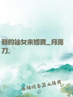 我的仙女未婚妻
