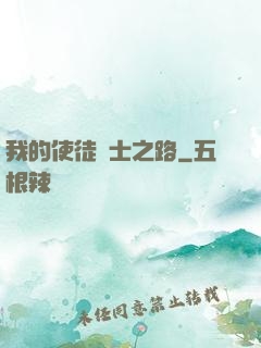 我的使徒劍士之路