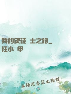 我的使徒劍士之路