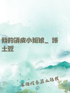 我的俏皮小狐娘