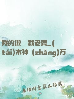 我的傲嬌總裁老婆