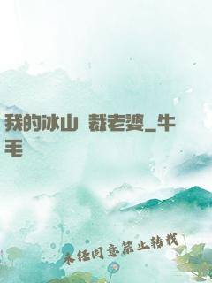 我的冰山總裁老婆
