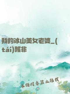 我的冰山美女老婆