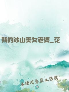 我的冰山美女老婆