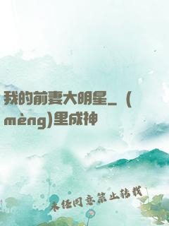 我的前妻大明星