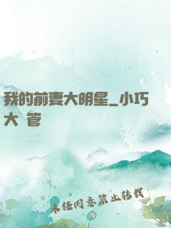 我的前妻大明星