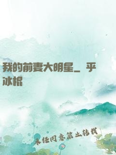 我的前妻大明星