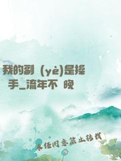 我的副業(yè)是操盤手