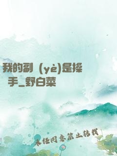 我的副業(yè)是操盤手