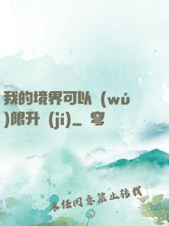 我的境界可以無(wú)限升級(jí)