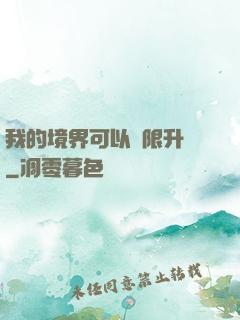 我的境界可以無限升級