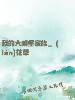 我的大明星家族