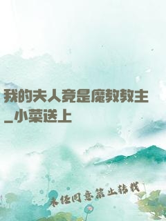 我的夫人竟是魔教教主