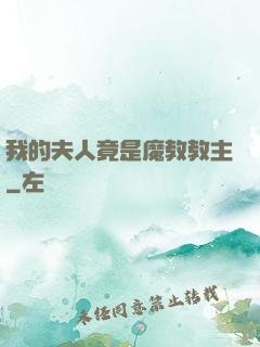 我的夫人竟是魔教教主
