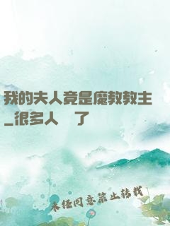 我的夫人竟是魔教教主