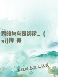 我的女友是偶像
