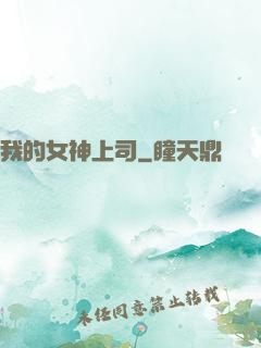 我的女神上司