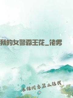 我的女警霸王花