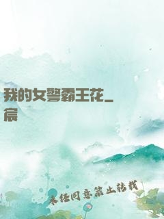 我的女警霸王花